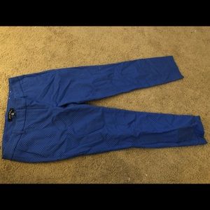 Blue and white dot Pants